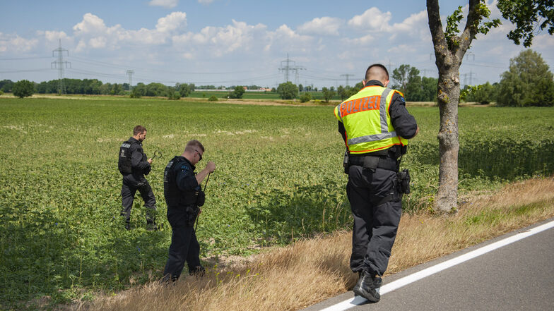 Zahlreiche Mitarbeiter der Polizei durchsuchten am Montagvormittag ein Wald- und Feldstück beidseitig der Straße zwischen Medessen und Zottewitz.