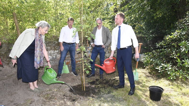 Professorin Ursula Staudinger, Ministerpräsident Michael Kretschmer und Jan Gerken, Kanzler der TU Dresden, pflanzten Mitte August um Schloss Grillenburg in Tharandt Pflanzen.