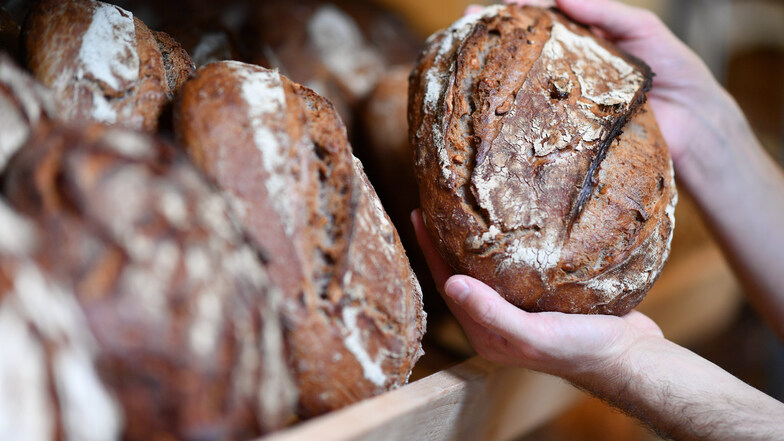 Ein Brotberuf, der wenig abwirft, nicht nur in Dresden: Bäcker werden häufig nur nach Mindestlohn bezahlt.