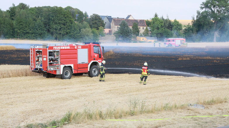 Am Samstagabend stand das Feld zwischen der Milchviehanlage Gersdorf und Wallbach in Flammen.