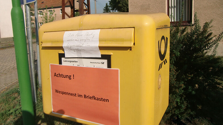 Seit ein paar Tagen hat der Postkasten vor dem Gemeindeamt in Hähnichen ungebetene Untermieter: Wespen. Die Deutsche Post hat ihn deshalb vorerst gesperrt.