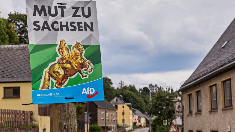 Wahlplakat der AfD in Dorfchemnitz für die Landtagswahl 2019.