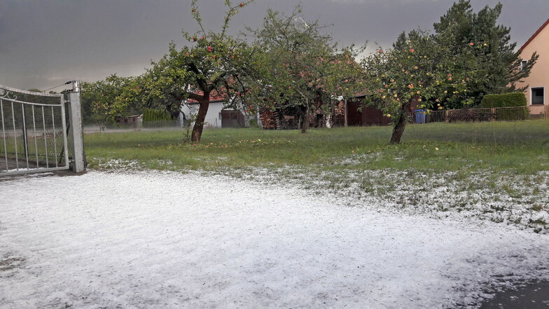 Die Äpfel noch auf den Bäumen und vor dem Hoftor Schnee. Dieses Bild zeigte sich Freitagnachmittag im Kodersdorfer Ortsteil Särichen.
