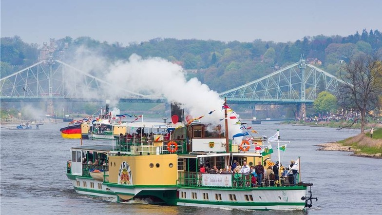 Die historischen Dampfer der Sächsischen Dampfschiffahrt fahren am Sonntag während der traditionellen Flottenparade auf der Elbe.