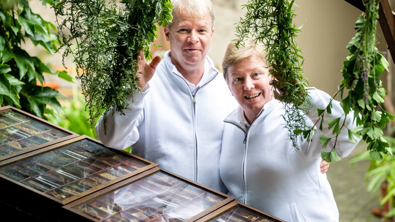 Kathrin und Ralf Thiele hatten bei der Hinterhoffest-Auflage 2022 in die Stadt-Apotheke am Bischofswerdaer Altmarkt unter anderem zu einem Kräuterquiz eingeladen.