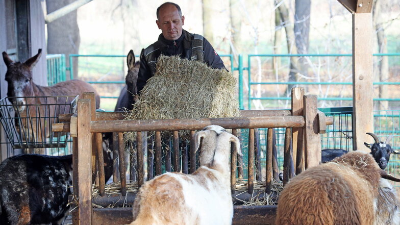 Tierparkleiter Michael Tobis bei der Fütterung im Streichelgehege. Gerade die Ziegen und Esel vermissen die Aufmerksamkeit der Besucher und die Abwechslung, sagt Tobis.