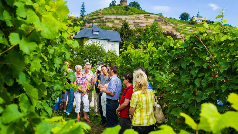 Interessierte Besucher zum Tag des offenen Weingutes in Hoflößnitz.