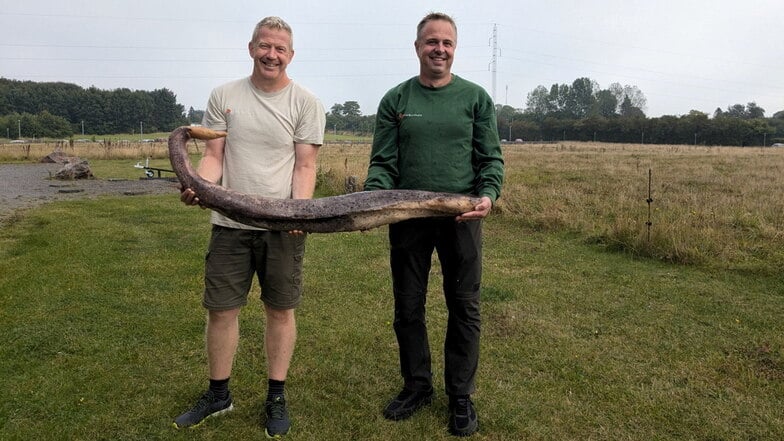 Die Naturführer Morten Gebhardt (l) und Kenneth Nielsen, beide von dem Erlebniszentrum NaturBornholm, halten den auf der dänischen Ostseeinsel Bornholm angespülten Penisknochen eines Wals, ein Teil seines Geschlechtsorgans, in den Händen.