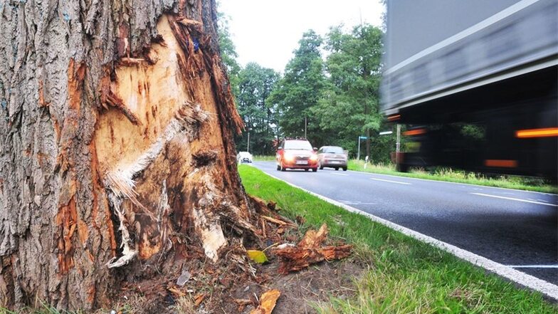 An diesen Baum prallte der Unfallfahrer mit seinem Ford in Lenz. Er starb am Dienstagabend noch an der Unfallstelle. Bis 2.30 Uhr war die Straße gesperrt.