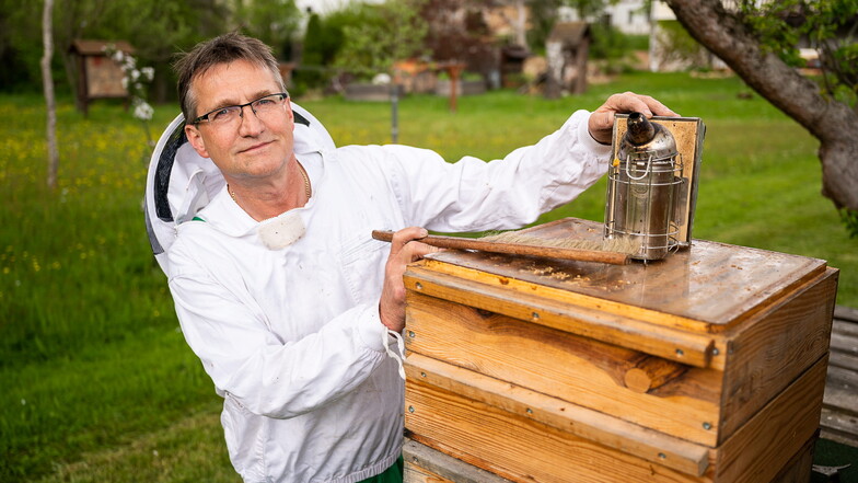 Imker Ingo Faselt an einem seiner Bienenstöcke in Kunnersdorf bei Görlitz.