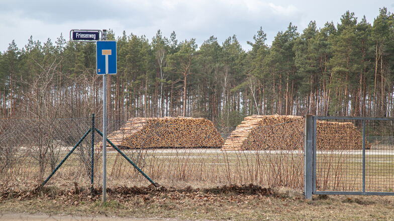 Am Friesenweg stapelte sich ein Teil des geschlagenen Holzes aus dem Stadtwald.