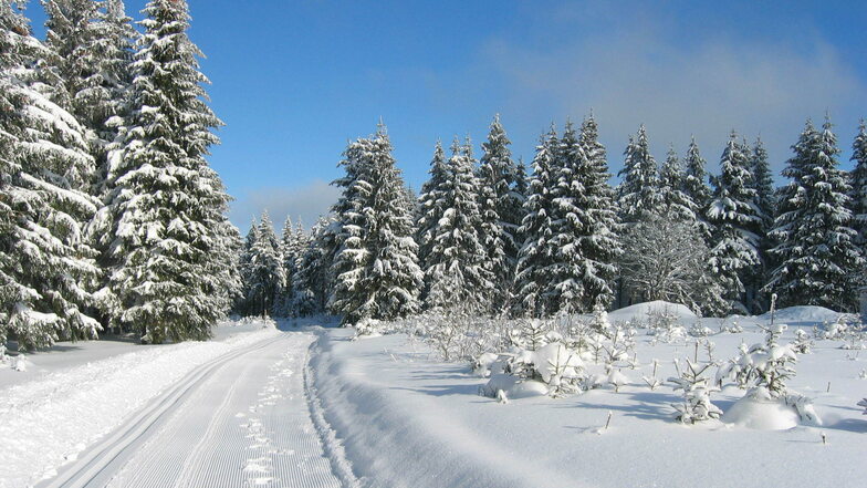 Auch der Winter im Thüringer Wald hat seinen besonderen Reiz.