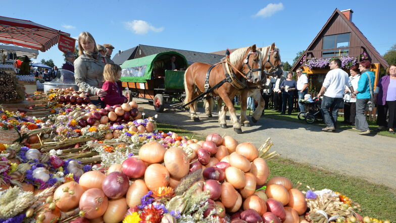 Das letzte Mal richtete die Colmnitzer Agrar Genossenschaft 2019 ihr Herbstfest aus (Foto). Jetzt gibt es auch ein Bauernmuseum im Weidegut.