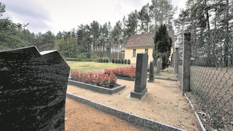 Der Friedhof in Haide soll umgestaltet werden und im Zuge der Arbeiten ein Gräbelfeld für naturnahe Bestattungen erhalten. So beschloss es der Gemeinderat.