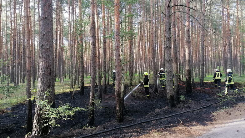 Zu einem Waldbrand wurden die Feuerwehren am Dienstagabend nach Uhsmannsdorf gerufen.