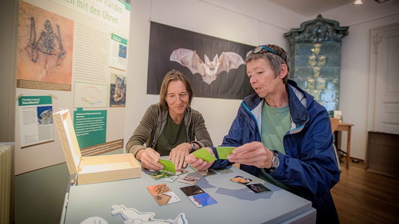 Anne Zabel und Annette Schmieder vom Stadtmuseum Karrasburg probieren das selbst entworfene Bionik-Memory aus. Im Hintergrund sieht man ein "Graues Langohr".