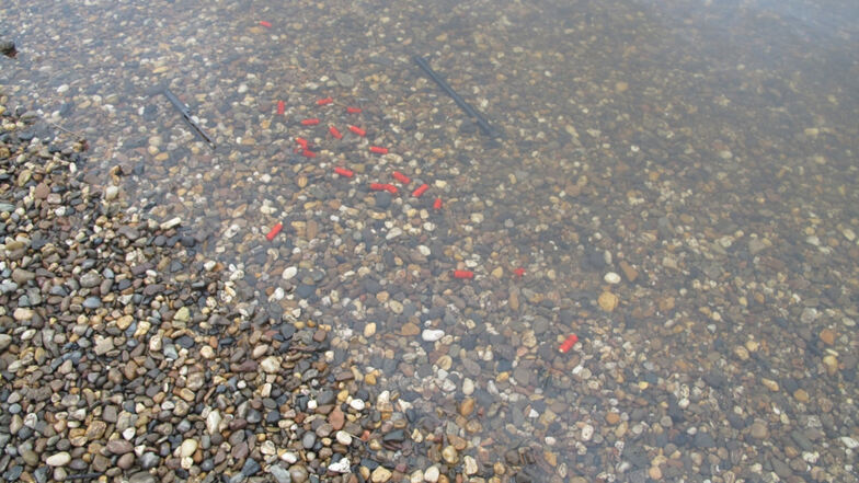 Auch rote Patronen wurden in der Elbe gefunden. 