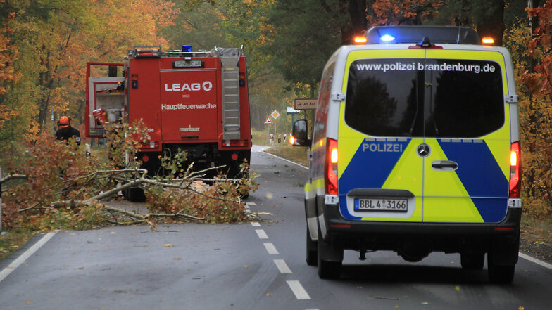 Wiederholt wurde der Verkehr am frühen Nachmittag auf der Bundesstraße 156 zwischen Sabrodt und Bluno gestoppt, weil die Feuerwehr Bäume von der Fahrbahn entfernte.
