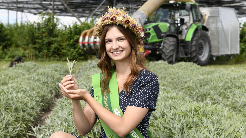 Die Sächsischen Erntekönigin Luisa Lüpfert wird am 14. September bei der Eröffnung des Kloster- und Erntedankfestes im Kloster Buch dabei sein.