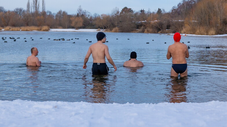 Mit vier Dresdnern beim Eisbaden: Was treibt sie ins eisige Wasser?