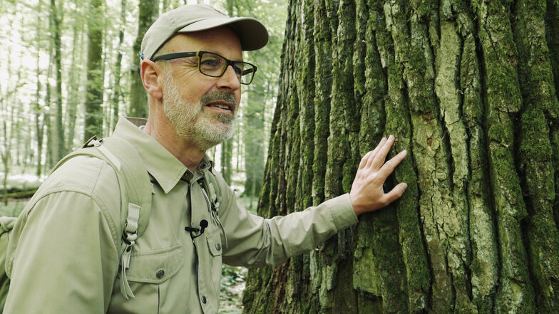 Peter Wohlleben in einer Szene des Films "Das geheime Leben der Bäume".