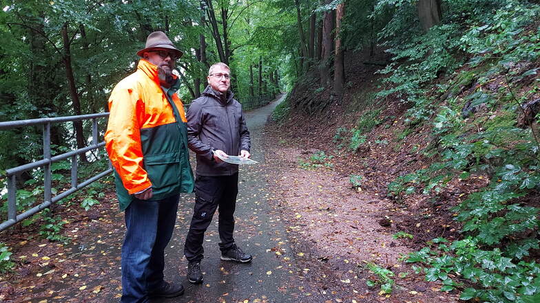 Mike Woletz (links) und Silvio Seydel von der Forstbetriebsgemeinschaft Erzgebirge-Chemnitzer Land begutachten die schadhaften Fichten am Rauschenthaler Weg.