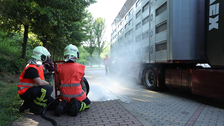 Mit Wasser und einem Lüfter sorgte die Feuerwehr für sinkende Temperaturen auf dem Tiertransporter.