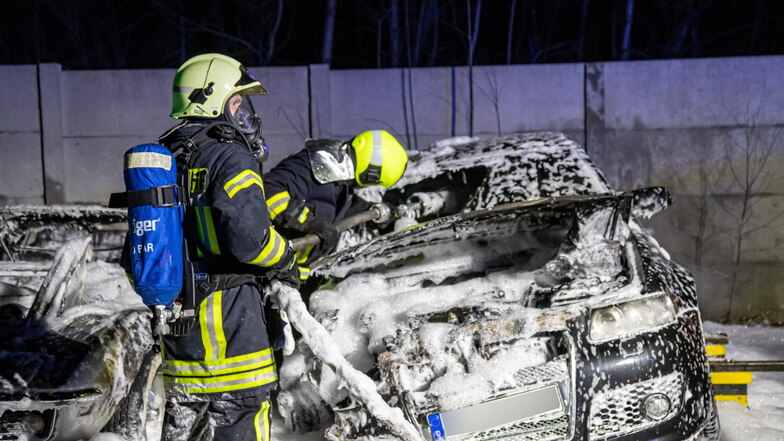 Vier Pkws der Modelle Audi, Corvette, VW Polo und Honda Civic wurden bei dem Brand Mitte Februar in Stannewisch zerstört.