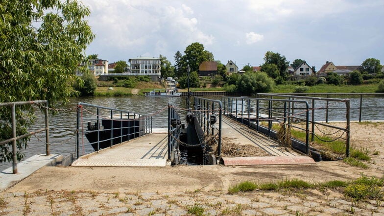 Wächst irgendwann zu: Die Anlegebrücke für die Dampfer in Heidenau wird nicht mehr gebraucht.