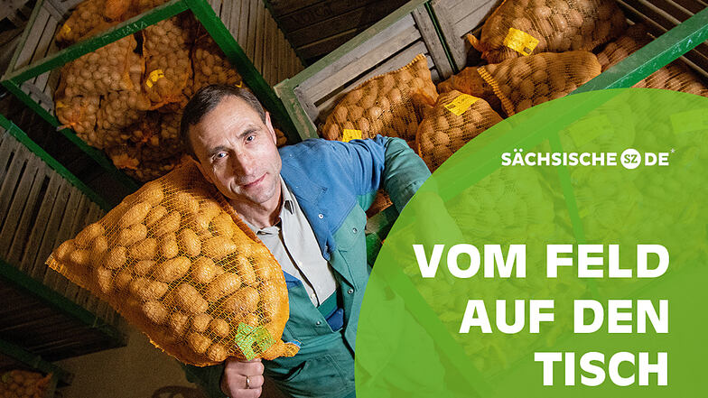 Eckhard Voigt ist Bio-Bauer in Doberquitz bei Leisnig. Neben Kartoffeln baut er unter anderem Linsen, Senf, Leinen und Kümmel an.