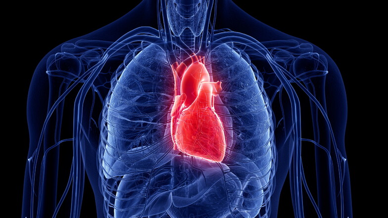 Mit winzigen Chips, die mithilfe künstlicher Intelligenz funktionieren, könnten Betroffene und Ärzte schon vorab vor einem Herzinfarkt gewarnt werden.