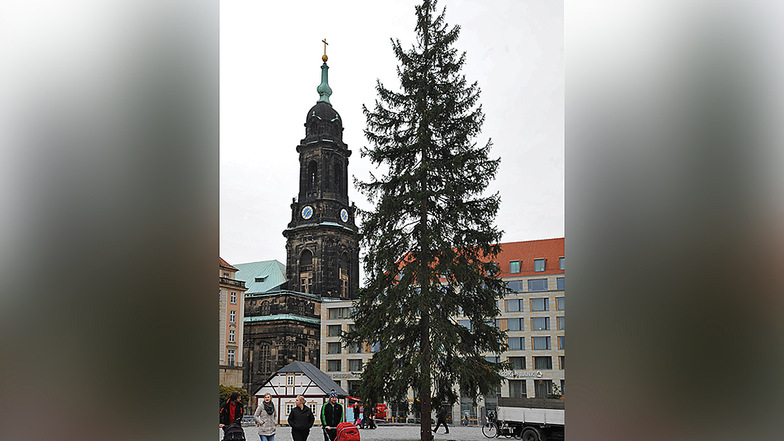 Dieser Baum hatte viele Namen - und keiner davon war auch nur annähernd schmeichelnd. Die 105 Jahre alte Fichte löste eine Grundsatzdebatte über die Ästhetik des Dresdner Striezelmarkt-Baumes aus.