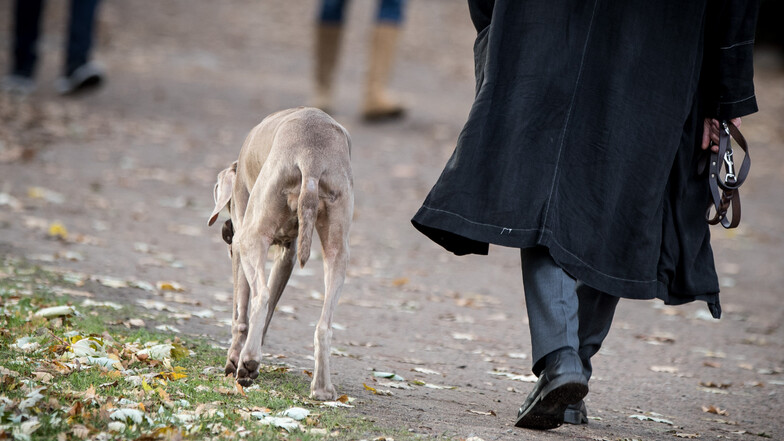 Hunde sind auf fast allen öffentlichen Wegen an der Leine zu führen. In Wildenhain sieht sich der Ortschaftsrat berufen, die Hundehalter wieder einmal daran zu erinnern.