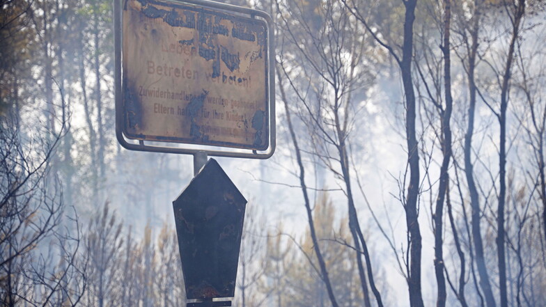 Hunderte Hektar Wald sind bereits verbrannt.