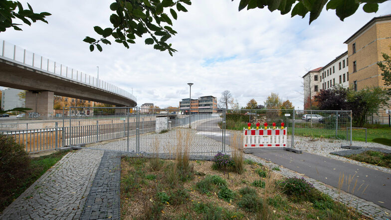 Am kommenden Donnerstag sollen diese Wege am Weißeritzgrünzug neben der Freiberger Straße wieder freigegeben werden.