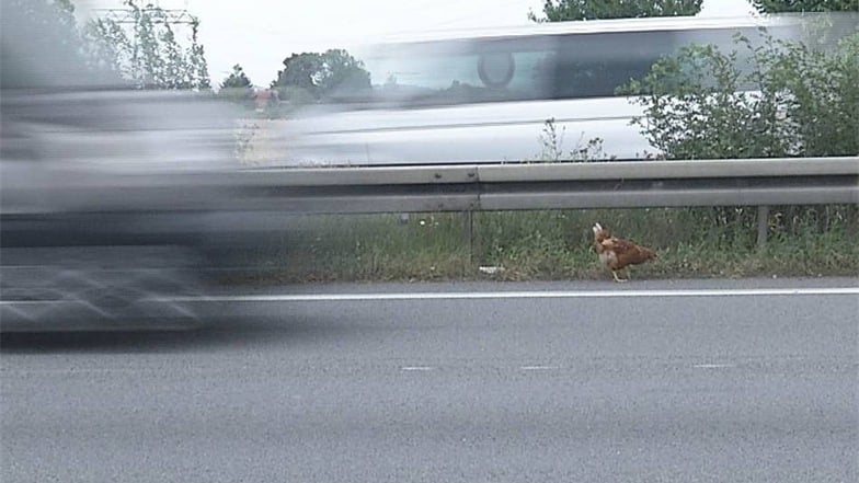 Wochenlang sorgte Gerda für Meldungen im Verkehrsfunk.