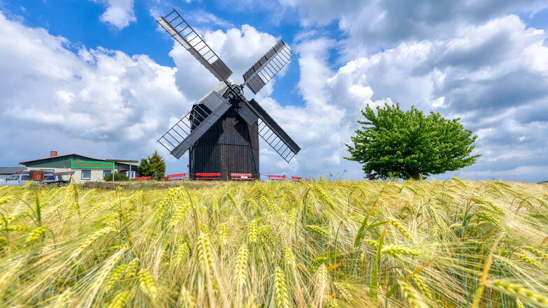In Sachsen reihen sich noch heute historische Windmühlen aneinander. Die Bockwindmühle in Kottmarsdorf lässt sich in den Wind drehen.