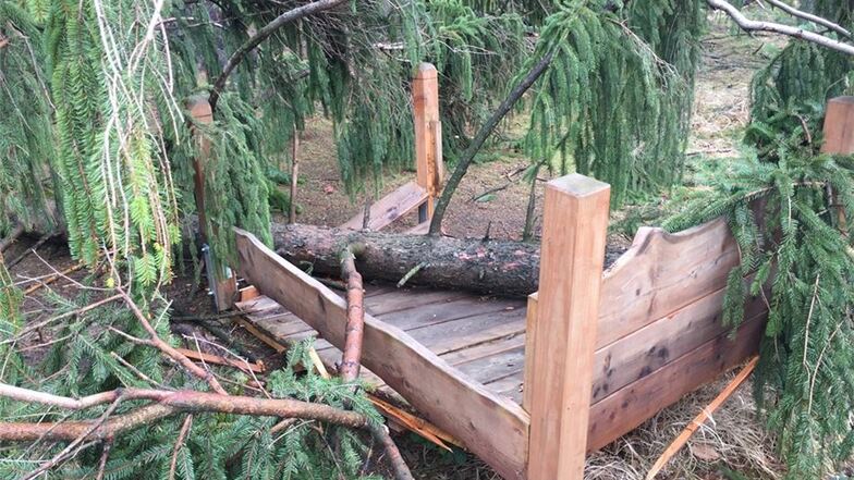 Das Bett auf dem Sinnespfad im Tharandter Wald wurde von umfallenden Bäumen beschädigt. Der ganze Bereich um das Walderlebniszentrum Grillenburg bleibt wegen Sturmschäden gesperrt.
