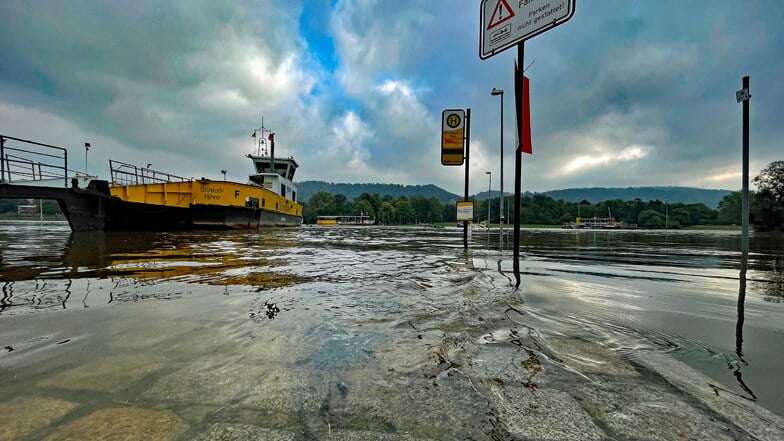 Das Hochwasser der Elbe in Dresden am Elbufer Kleinzschachwitz mit Blick nach Pillnitz