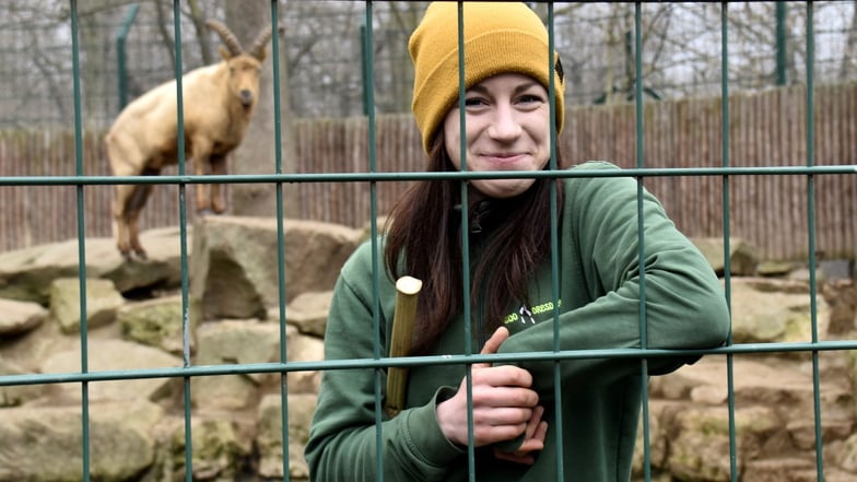 Traumberuf: Tierpflegerin Evelin Schröder findet es klasse, dass wieder Besucher in den Zoo kommen können. Steinbock Eddi hält sich lieber etwas im Hintergrund.