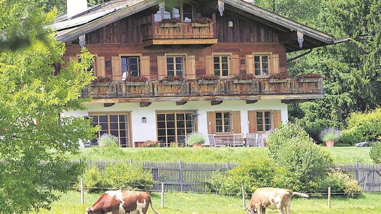 Tegernseer Fleckvieh-Kühe vor dem Haus von Uli Hoeneß im bayerischen Bad Wiessee. Das aufwendig sanierte Bauernhaus war im März 2013 von Steuerfahndern durchsucht worden.