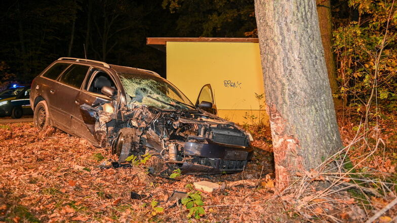 Der Audi prallte am Sonntagabend in Bischdorf frontal gegen einen Baum.