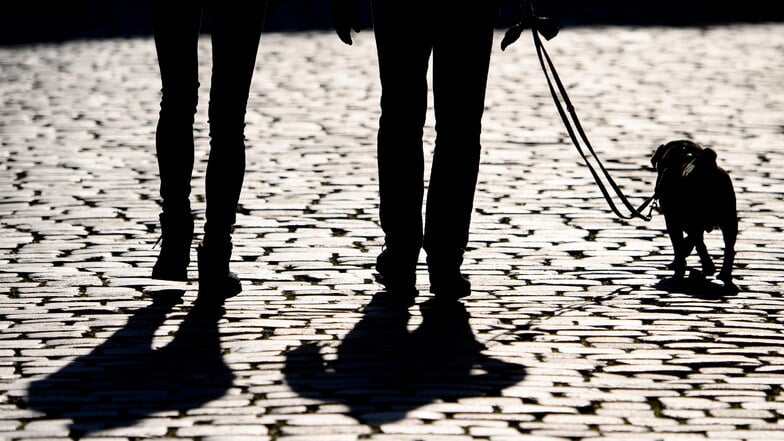 Gibt es weitere Hundebesitzer, die von Giftködern in Malschwitz betroffen sind, fragt die Polizei, nachdem eine Dogge im Ortsteil Kleinsaubernitz gestorben ist.