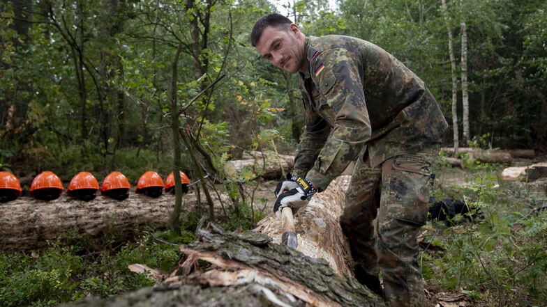 Oberstabsgefreiter Tobias Sperling befreit einen Baum von der Rinde. 62 Soldaten der Bundeswehr helfen den Förstern in Sachsens Wäldern, gegen den Borkenkäfer vorzugehen. Tobias Sperling ist einer derjenigen, die im Forstbezirk Neustadt zum Einsatz kommen
