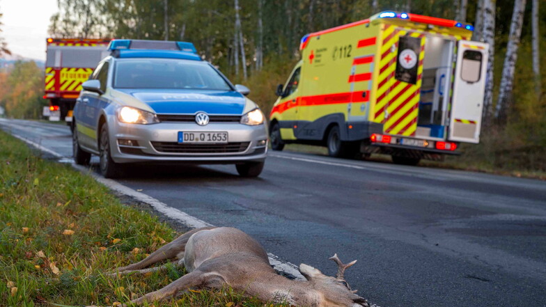 Ein plötzlich über die Straße laufendes Reh war Ausgangspunkt für zwei kurz hintereinander folgende Unfälle auf der B96 am Mittwochmorgen. Durch die Sperrung ergab sich ein Rückstau im Berufsverkehr.