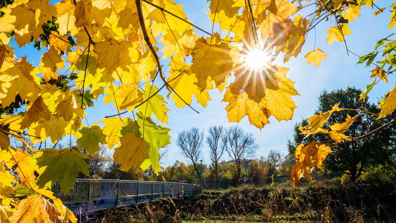 Ein häufiges Bild im Oktober in Görlitz und Umgebung: Goldener Herbst bei strahlendem Sonnenschein an der Pließnitzbrücke in Hagenwerder.