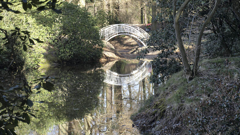 Nur selten präsentiert sich die japanische Brücke über dem Inselteich mit diesem Spiegelbild. Entweder fehlt viel Wasser im Teich oder er ist von Laub zugedeckt.