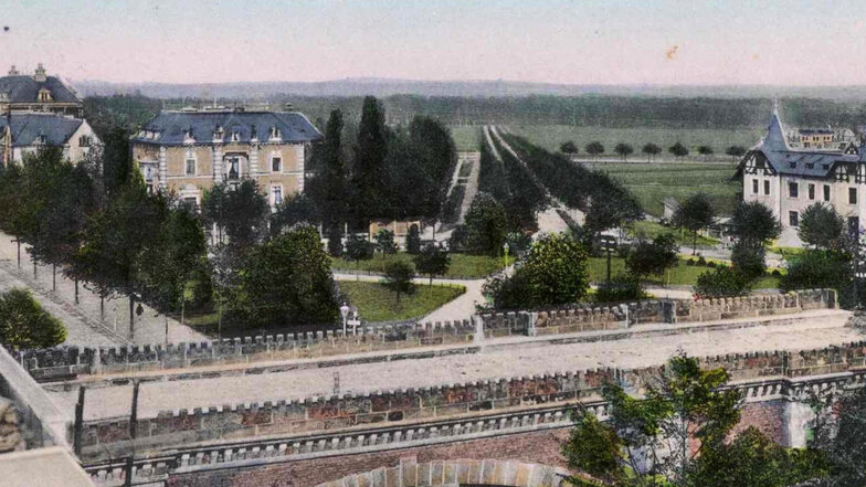 Die Weinauallee auf einer historischen Ansichtskarte. Die Straße wurde 1904 fertiggestellt, mit der Allee dauerte es aber noch, die Bäume mussten erst wachsen.