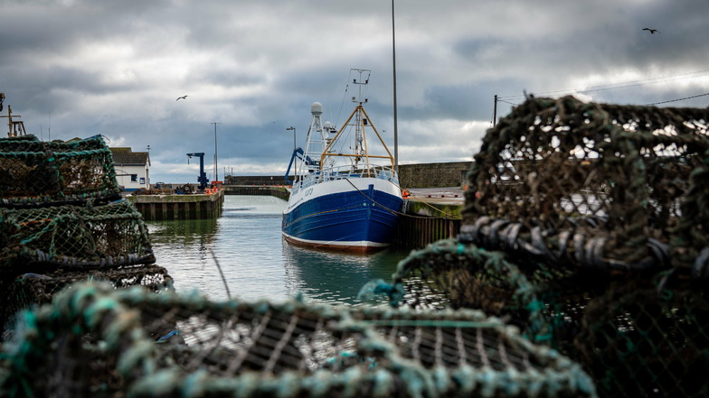 Brexit: Schadenersatz für Fischhändler