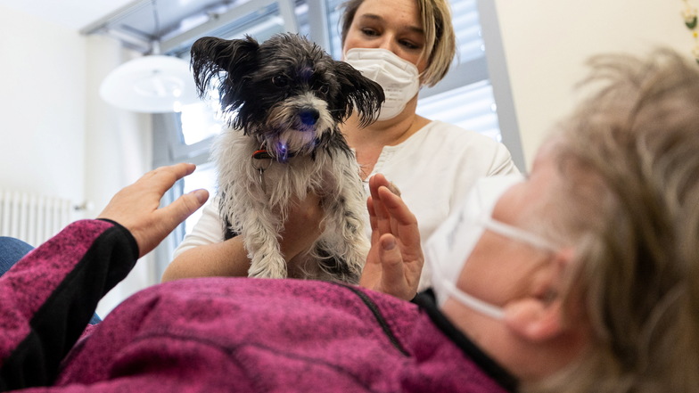 Es gibt Bewegungen, die fallen den Patienten leichter, wenn Therapeutin Mengia Bretschneider im Krankenhaus Dippoldiswalde, sie ihnen mit ihrem Hund Trixie vermittelt.
